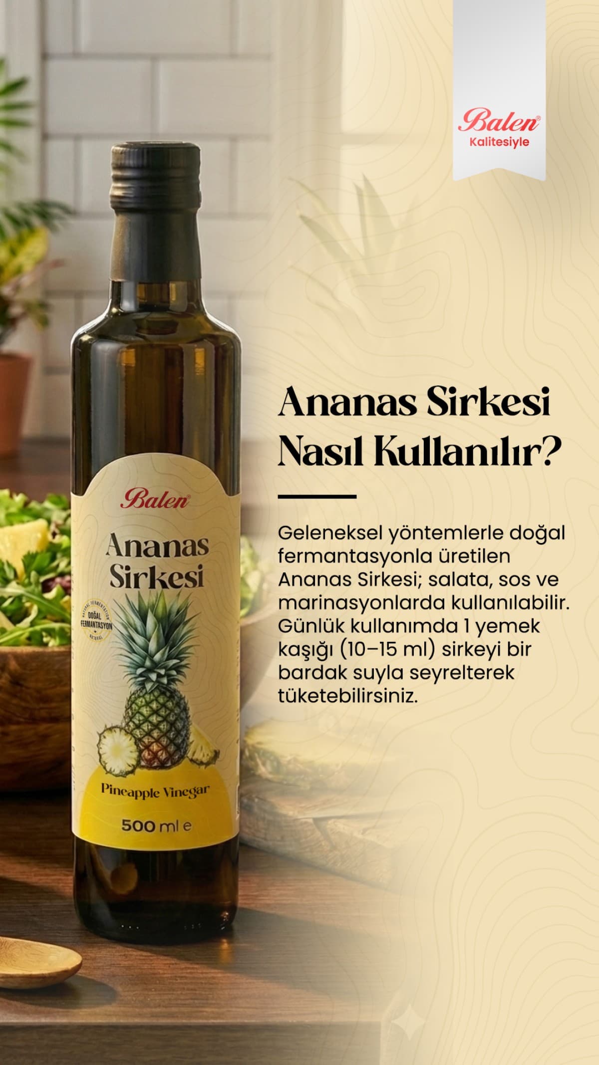 ANANAS SİRKESİ 500 ML